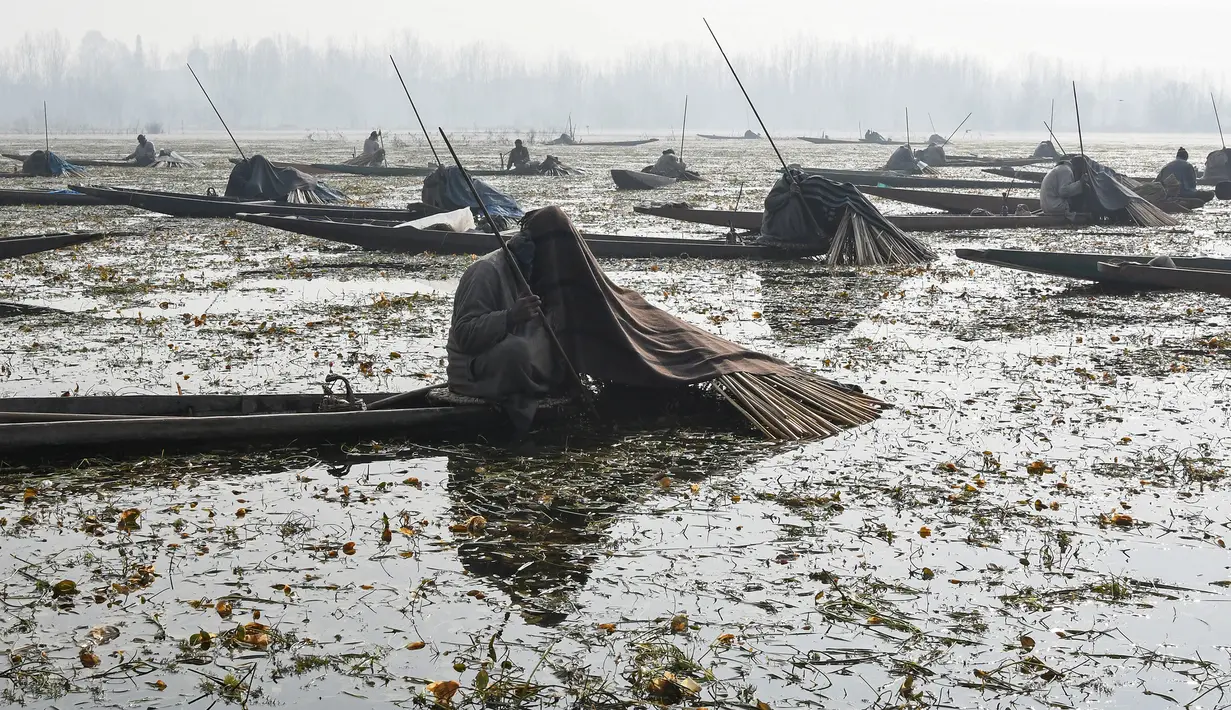Nelayan Kashmir menutupi kepala dan sebagian tubuhnya ketika menangkap ikan di Danau Anchar, pinggiran Srinagar, India, 28 Desember 2017. Cara unik itu merupakan taktik mereka untuk menangkap ikan yang sudah dilakukan turun temurun. (TAUSEEF MUSTAFA/AFP)
