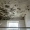Cara Mengatasi Black Mold di Plafon Kamar Mandi, Aman dan Ampuh Tak Muncul Lagi