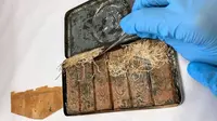 Kotak cokelat tertua di dunia berusia 120 tahun yang ditemukan oleh para konservator di perpustakaan nasional Australia. (Dok: ABC News/ Craig Allen)