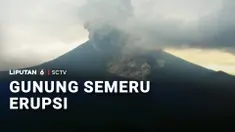 Setelah kemarin Anak Krakatau, kini Gunung Semeru yang erupsi. Dalam rentang waktu 6 jam saja, Gunung Semeru telah 11 kali erupsi.