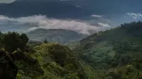Rawa Gembongan, Wisata di Temanggung yang Dikenal dengan Sebutan Danau Cinta