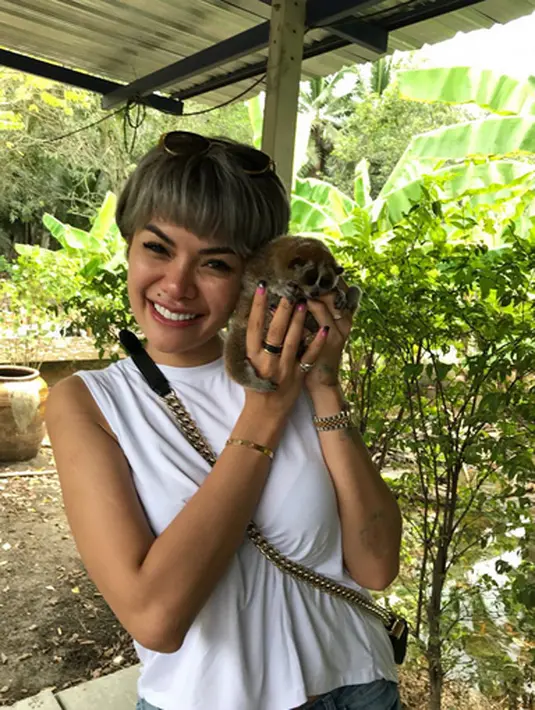 "Yang udah dibatalkan 5 diluar kota. Beberapa kontrak di TV swasta (bisa) terancam. KPI tidak ada urusan. Itu medsos. Kecuali program. Jadinya salah alamat, mabok gaptek kali tuh," ucap Muannas. (Instagram/nikitamirzanimawardi_17)