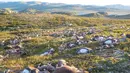 Ratusan bangkai rusa tergeletak mati di sebuah taman alam di Hardangervidda, Norwegia (28/8). Sekitar 300 ekor rusa mati tersambar petir akibat badai melanda wilayah setempat Jumat lalu. (Havard Kjotvedt/SNO/Miljodirektoratet/NTB Scanpix via Reuters)