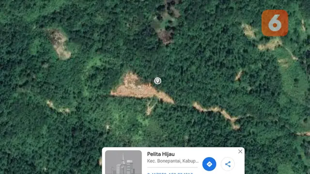 Citra Satelit