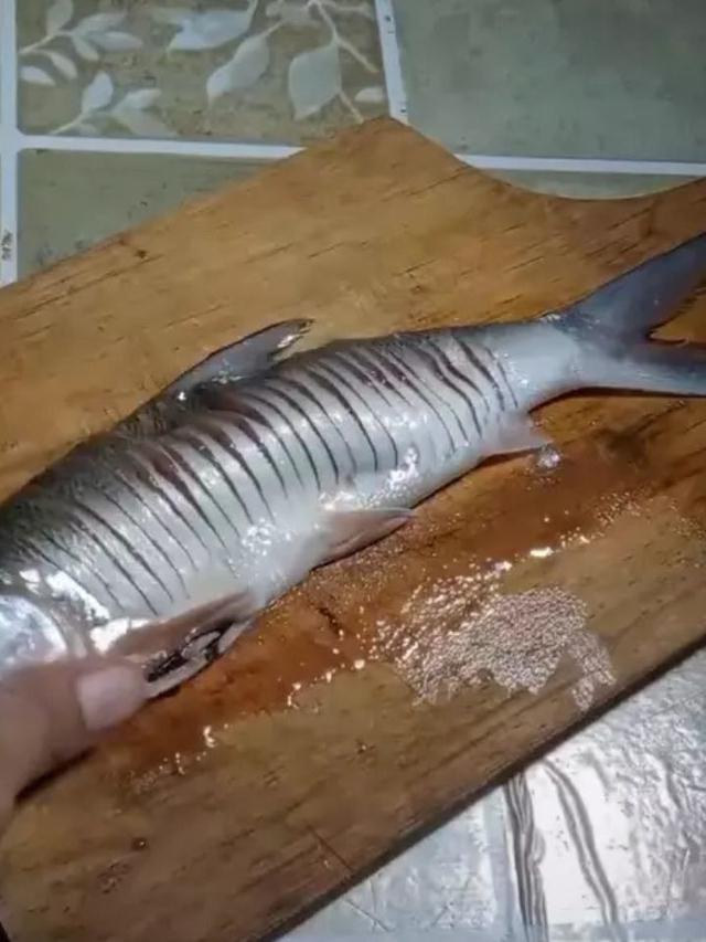 Menyayat daging ikan