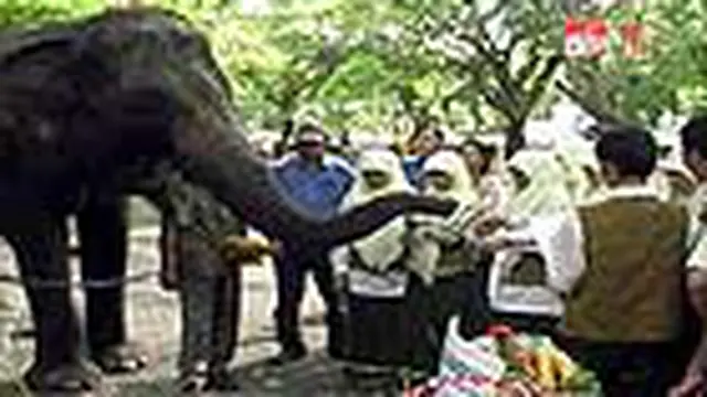 KBS Dapat Bantuan Satu Ton Sayur dan Buah
