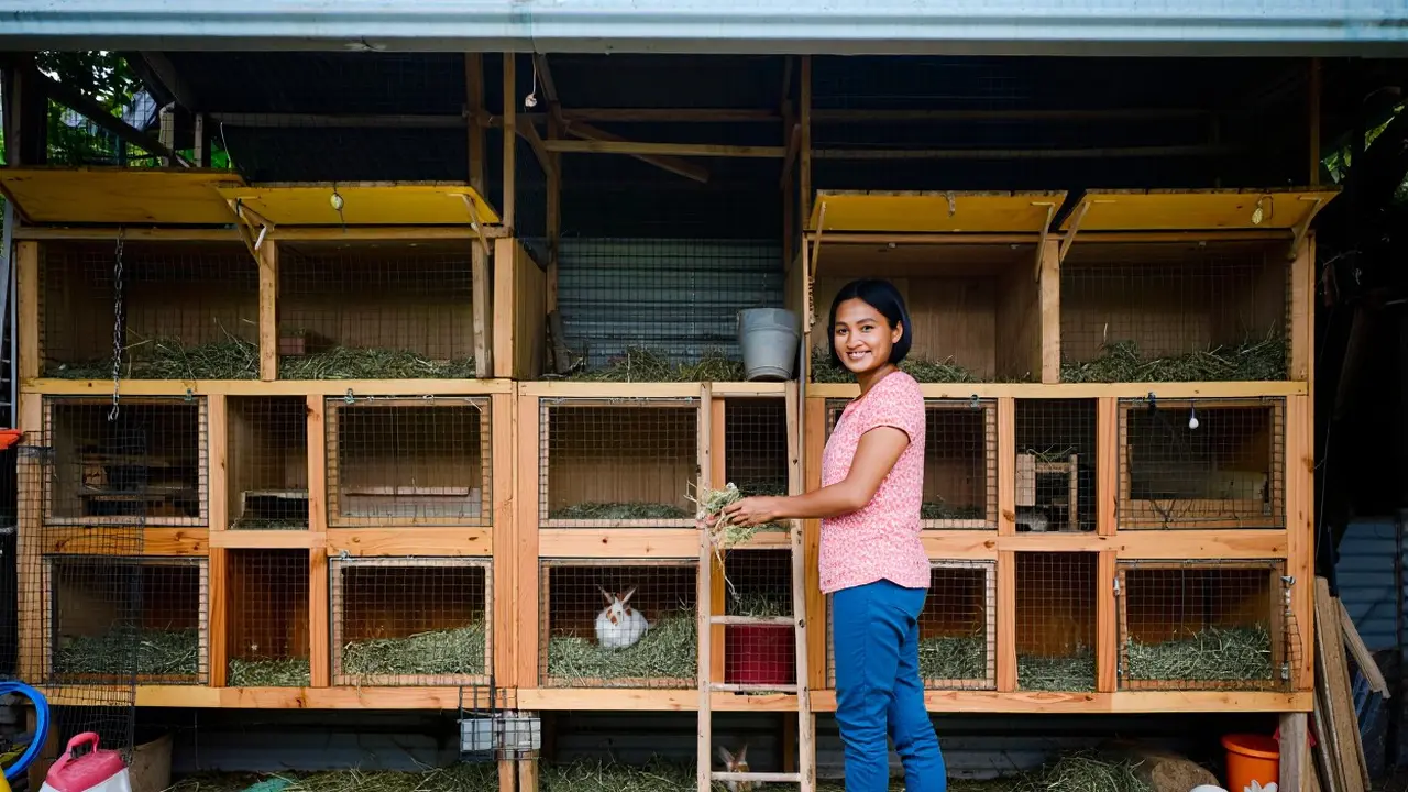 Cara Ternak di Rumah Tanpa Mengganggu Tetangga (Foto: Reve Art AI)