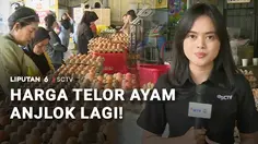 MBG Setop saat Libur Sekolah, Harga Telur Ayam Anjlok Lagi