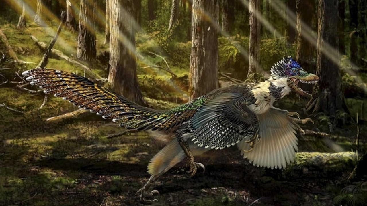 Ini wujud Zhenyuanlong, dinosaurus bersayap yang ditemukan di China