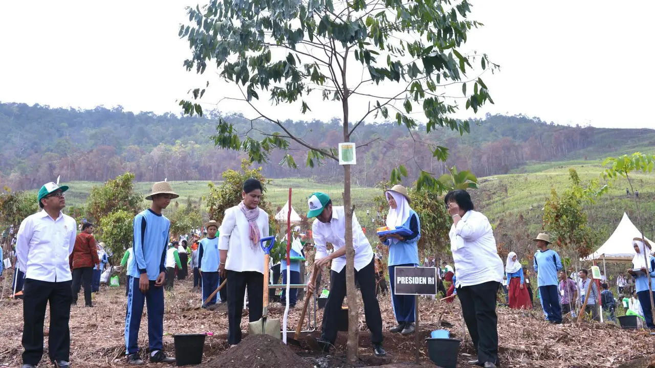 Presiden Jokowi Menanam Pohon