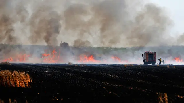 Bentrokan di Jalur Gaza, Ladang Gandum Israel Hangus Terbakar