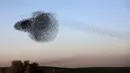 Kerumunan ribuan burung itu membentuk ‘awan’ hitam di langit yang bisa mendadak berganti arah dan bentuk secara acak, Padang Pasir Negev, Israel, Senin (2/2/2015). (AFP Photo/Menahem Kahana)