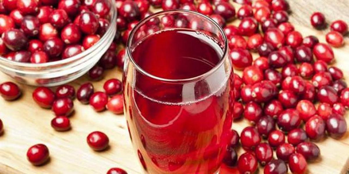 8 Minuman Pembersih Ginjal Alami, Rahasia Detoksifikasi Tubuh