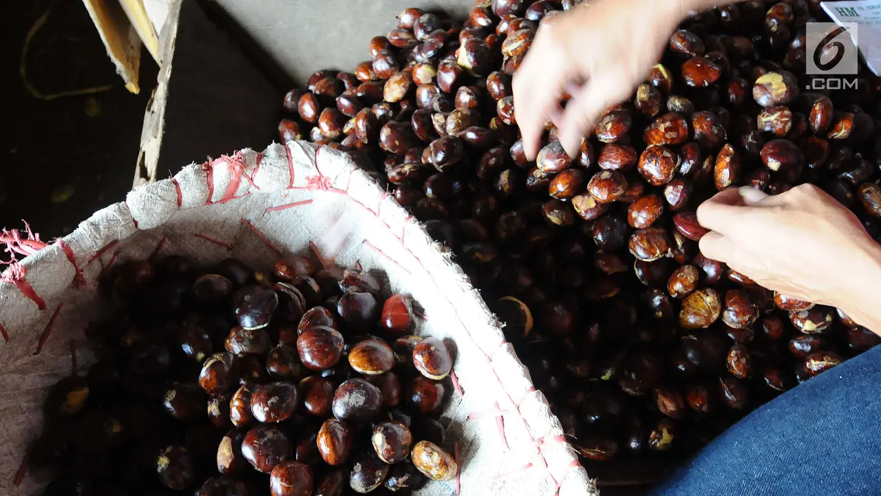H-2 Puasa, Harga Jengkol Belum Alami Peningkatan