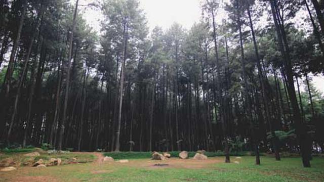 Camping Ground di Taman Wisata Alam Gunung Pancar (gunungpancar.com)