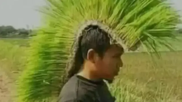 7 Potret Kocak Orang Pakai Rambut Palsu dari Tanaman Ini Absurd Banget