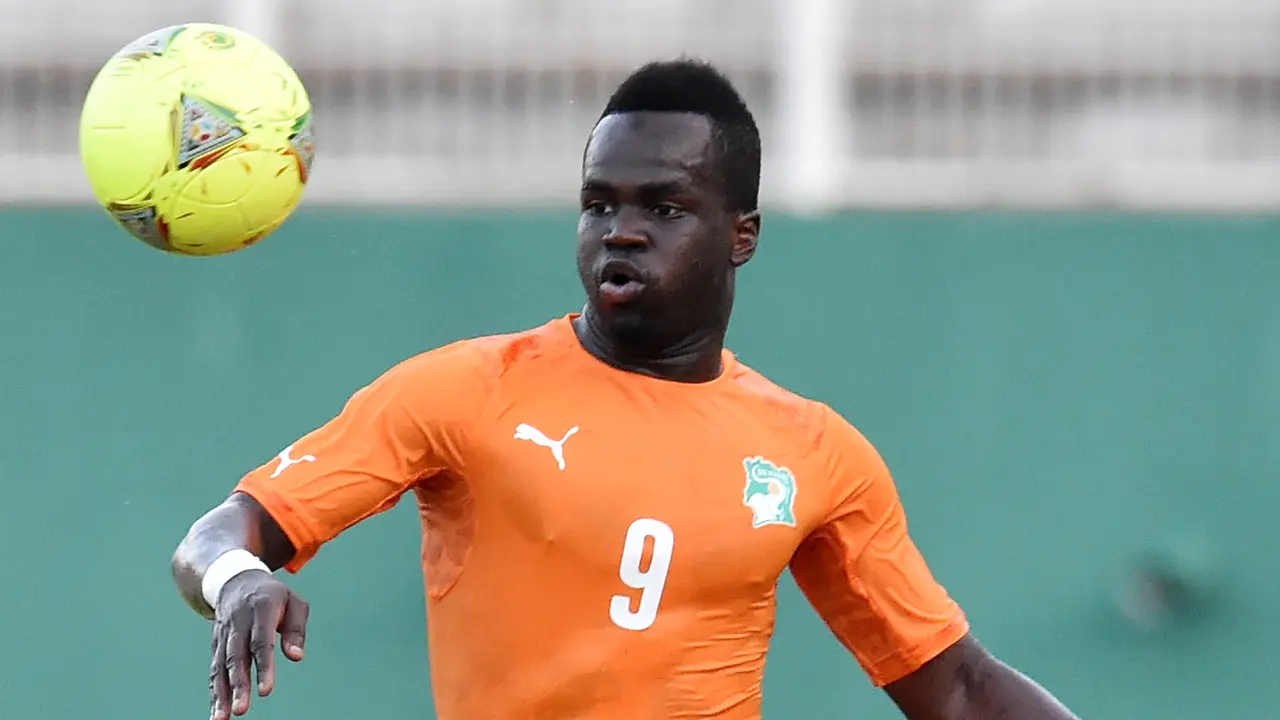 Cheick Tiote