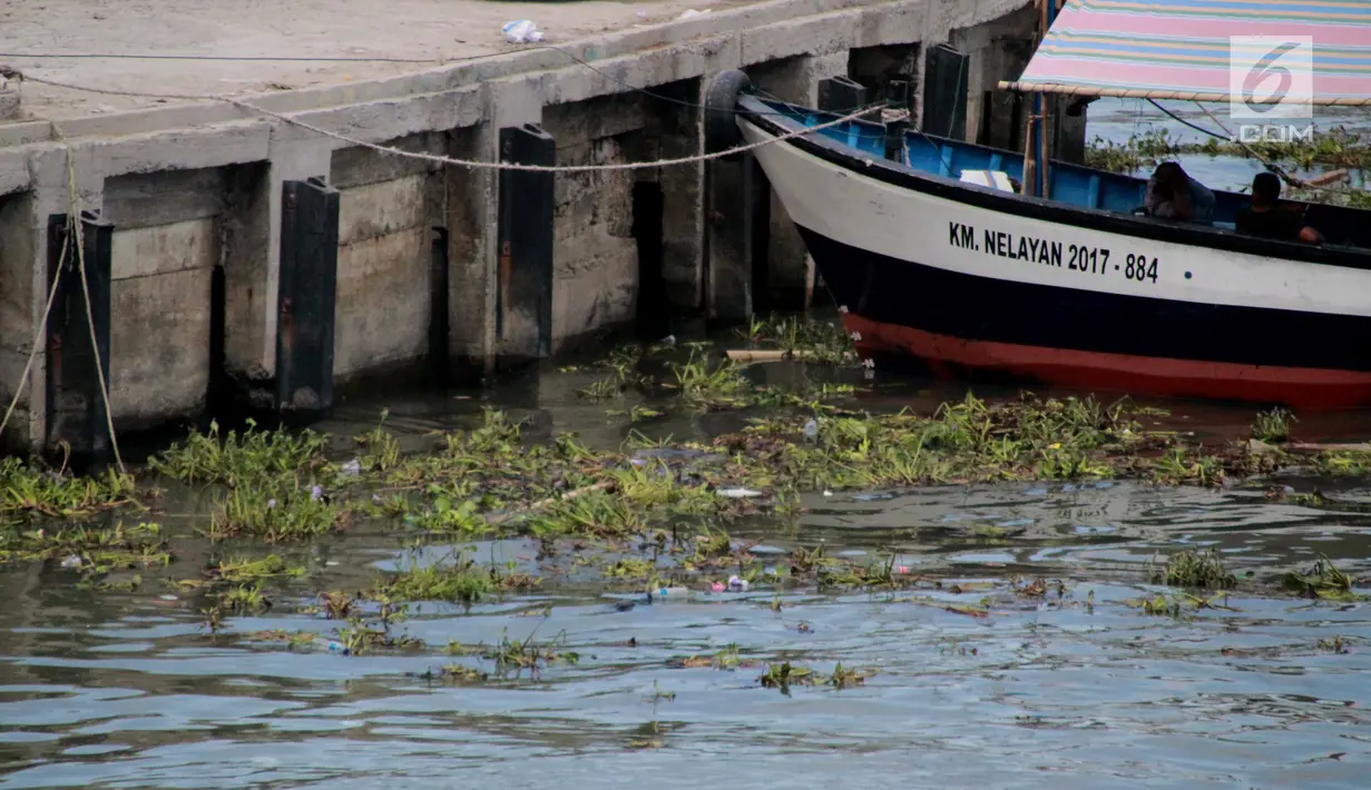 Sebuah kapal berlabuh dekat pinggir pantai Kelurahan Pohe yang dipenuhi eceng gondok, Gorontalo, Jumat (22/2). Tanaman ini berasal dari Danau Limboto yang terbawa arus hingga ke Teluk Gorontalo dan memenuhi pinggiran pantai. (Liputan6.com/Arfandi Ibrahim)