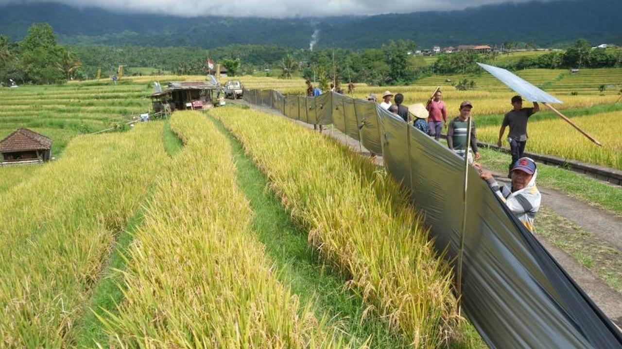 Indonesia Dorong Penguatan Ketahanan Pangan dan Energi ASEAN di Tengah Gejolak Geopolitik