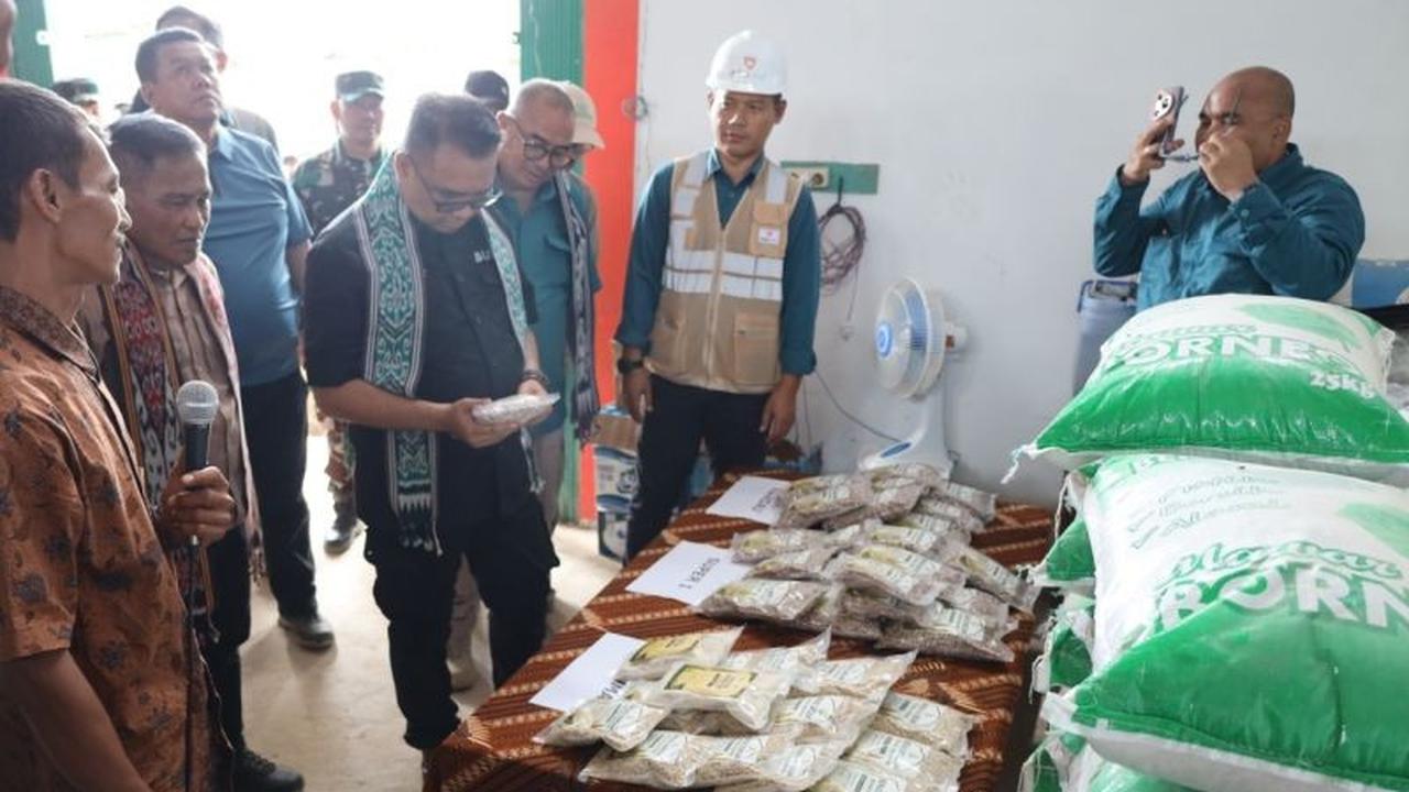 Kukar Genjot Diversifikasi Pangan Sorgum, Gandeng Swasta Wujudkan Ketahanan Pangan Daerah