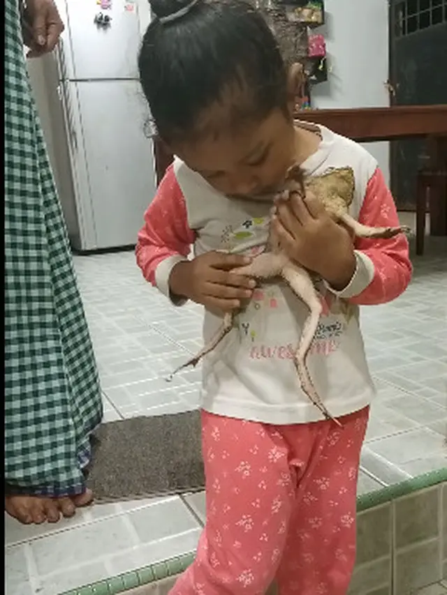 Suka Hewan Tak Biasa, Bocah Ini Hobi Pelihara Katak Sampai Dianggap Adik