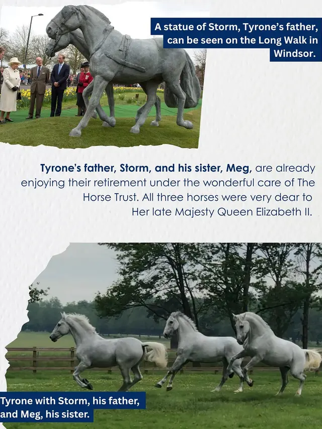 Kuda Kesayangan Ratu Elizabeth II Resmi Pensiun Setelah 14 Tahun Mengabdi, Akhir dari Pengabdian untuk Kerajaan Inggris