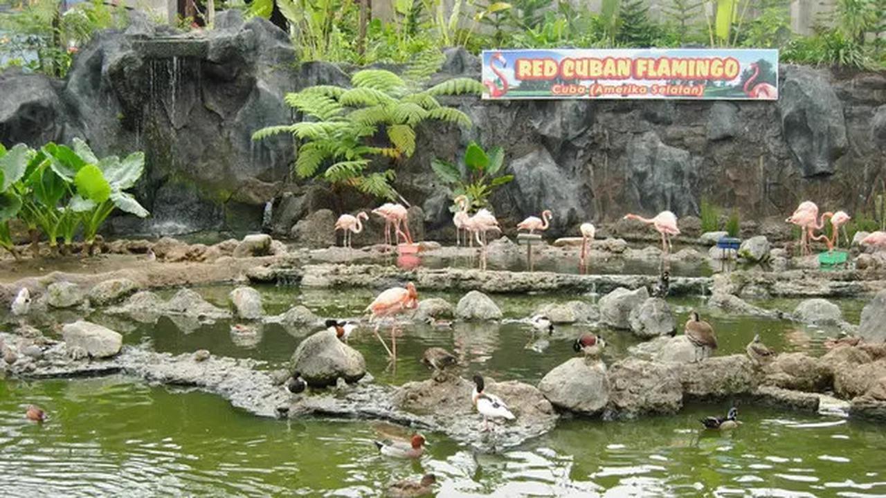 13 Wisata Malang Terbaru yang Terpopuler dan Hits, Cocok untuk Liburan Keluarga
