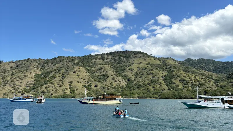 Taman Nasional Komodo