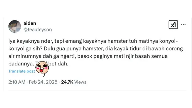6 Cerita Netizen Hamster Peliharaannya Mati Ini Bikin Sedih Sekaligus Ngakak