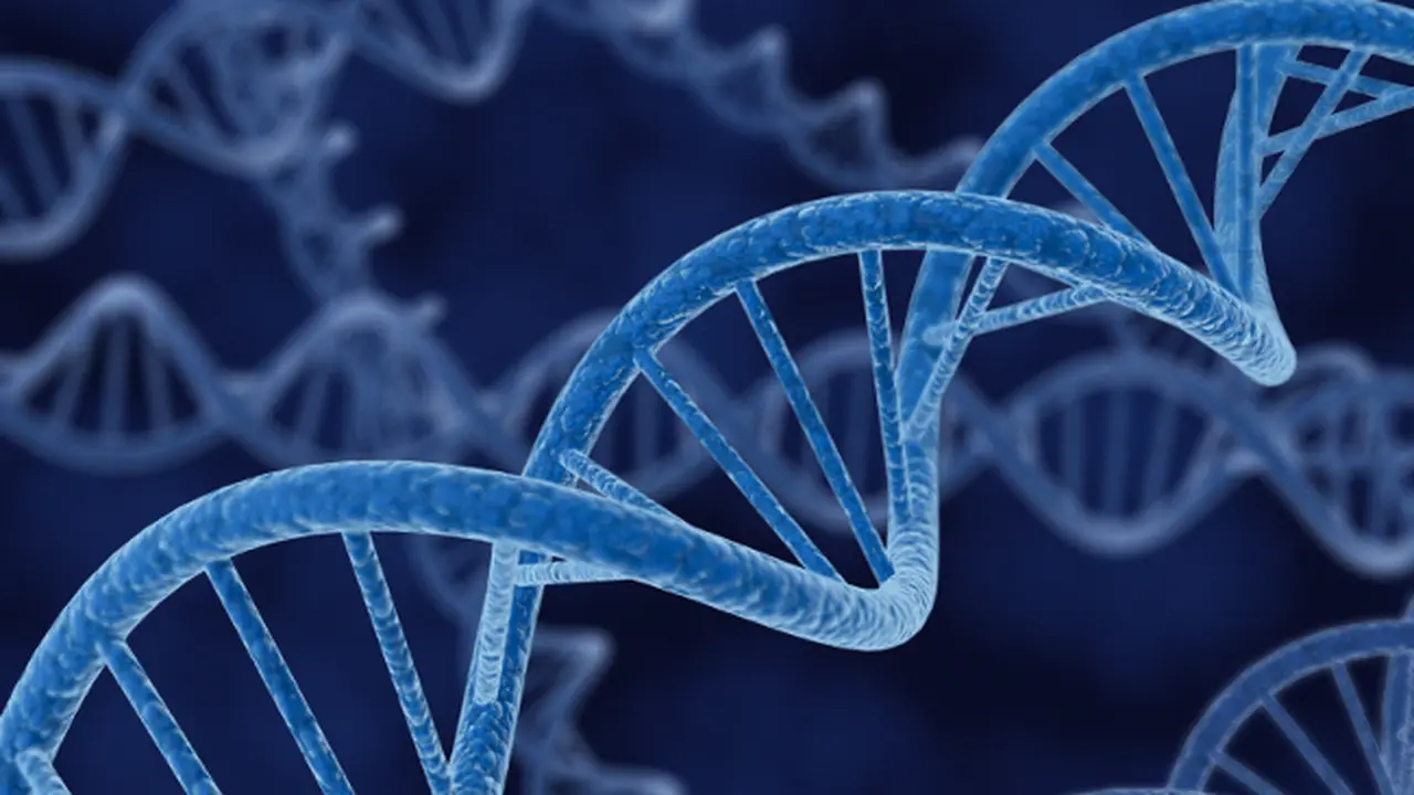 DNA, Masa Depan Penyimpanan Data Internet