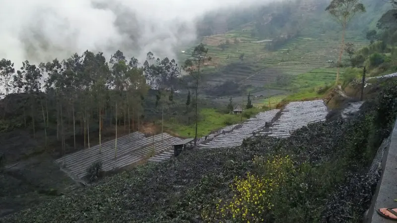 Kaldera Raksasa Pegunungan Dieng yang dipenuhi belasan kawah aktif, termasuk Kawah Sileri. (Foto: Liputan6.com/BPBD BNA/Muhamad Ridlo)