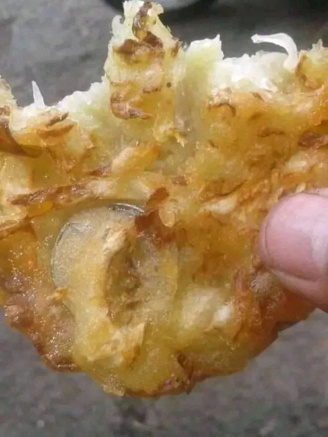 6 Momen Apes saat Mau Makan Bakwan Ini Bikin Geleng Kepala
