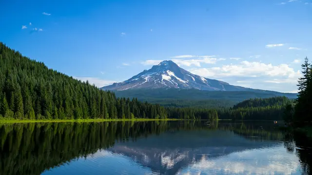 Mt. Hood National Forest