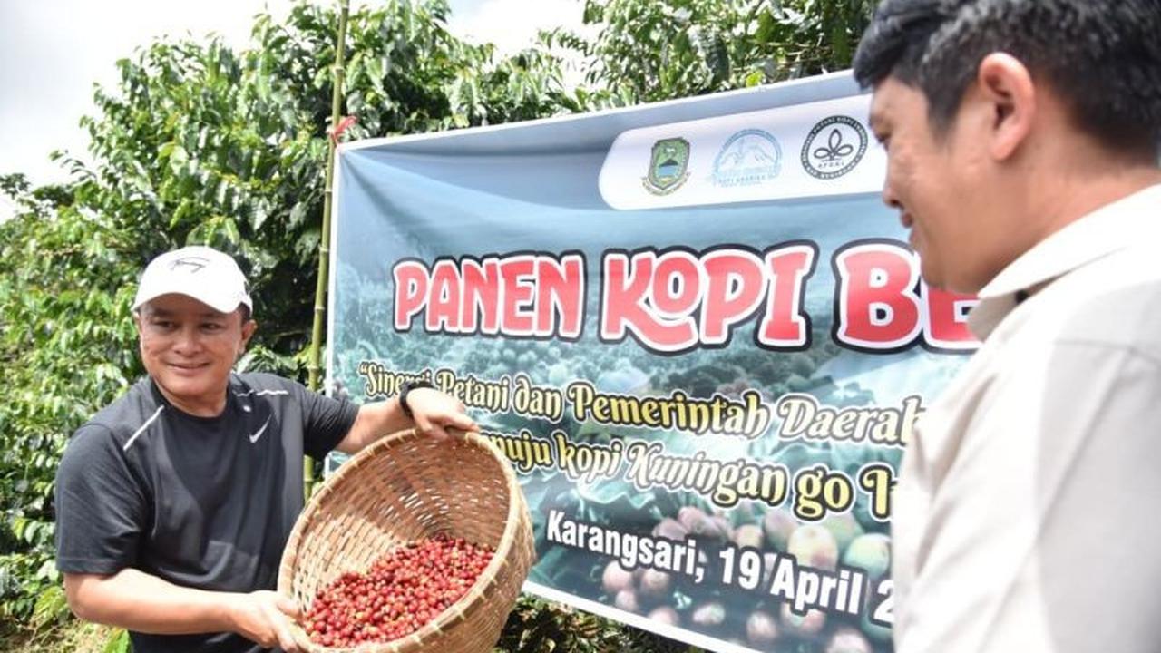 Kopi Kuningan Berpeluang Besar Tembus Pasar Global, Bupati Ungkap Kualitas Bersaing