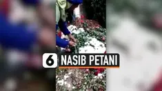 NASIB PETANI BUNGA