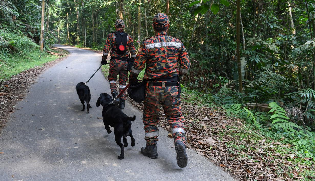 Tim penyelamat mengerahkan anjing pelacak saat mencari gadis disabilitas asal Irlandia Nora Anne Quoirin yang hilang dari sebuah resor hutan hujan di Seremban, Malaysia, Rabu (7/8/2019). Nora diketahui merupakan penyandang disabilitas yang kemampuannya tidak seperti anak seusianya. (Mohd Rasfan/AFP)