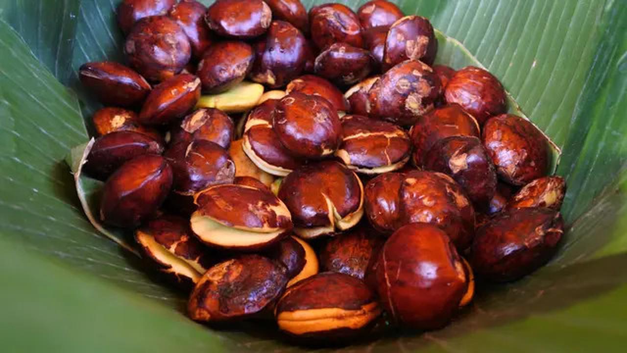 5 Metode Menghilangkan Bau Tak Sedap pada Jengkol, Praktis Dilakukan di Rumah!