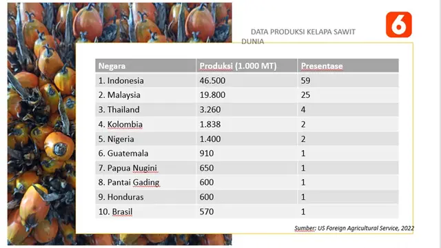 Data produksi kelapa sawit