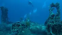 Dive Site World War II Wrecks sering membuat banyak penyelam penasaran untuk melihat sisa-sisa peralatan perang dunia II.