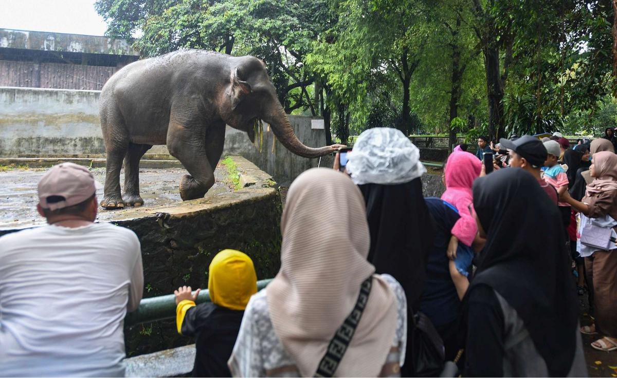 Ragunan Dibanjiri Puluhan Ribu Pengunjung di Hari Kedua Lebaran