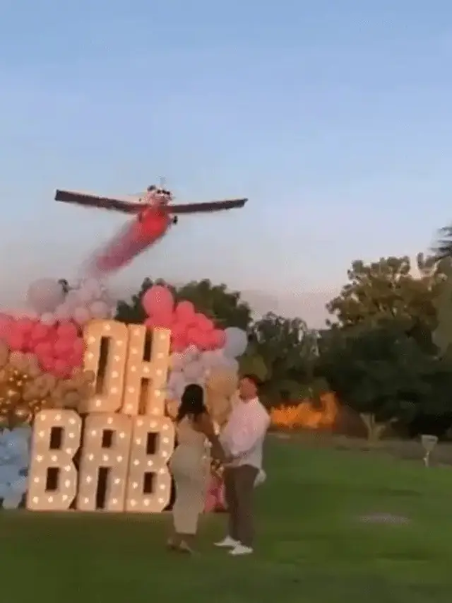 Potret Gender Reveal Berujung Tragedi, Pesawat Jatuh Tak Disadari Tamu Undangan