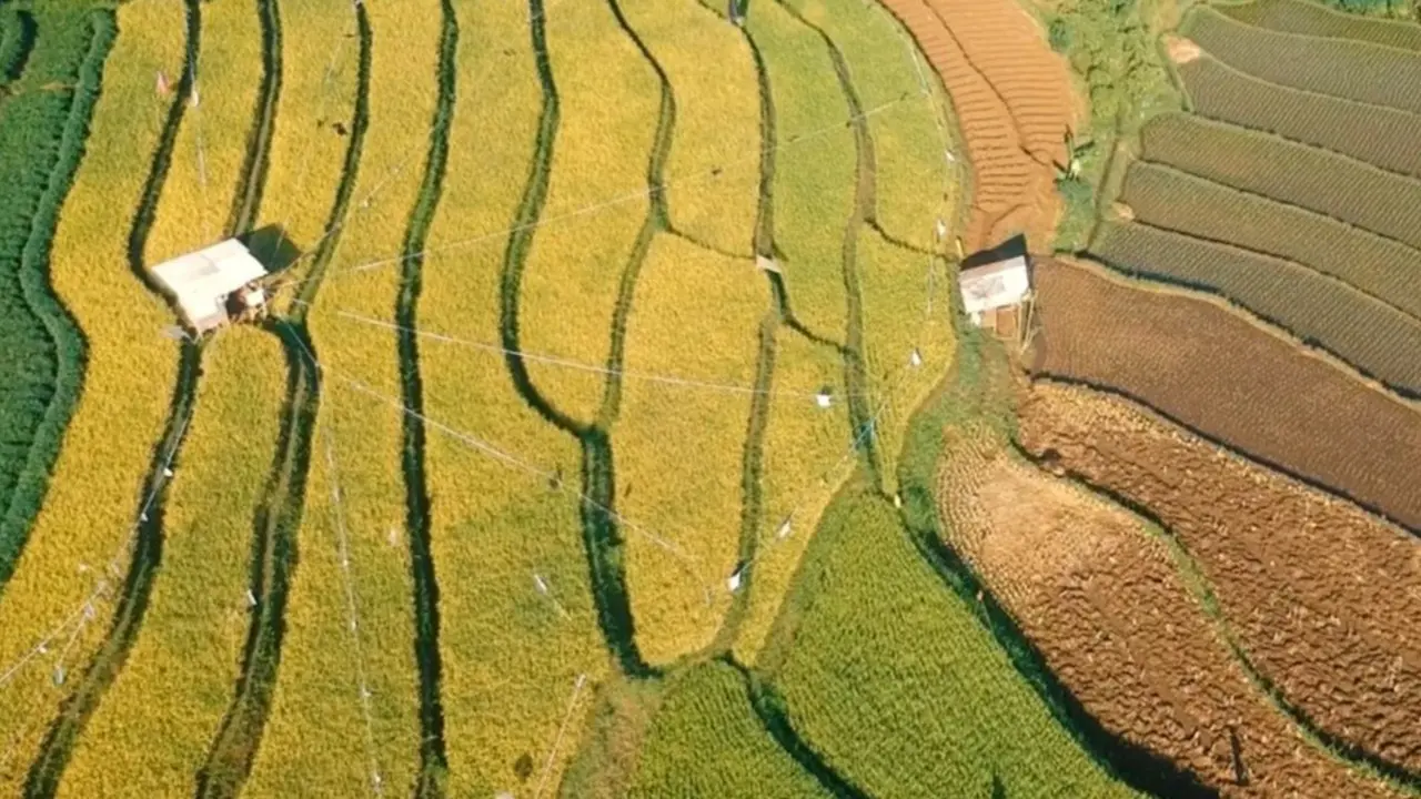 Sein Farm, Bandung