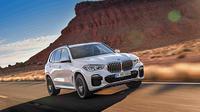 all new bmw x5 (ist)