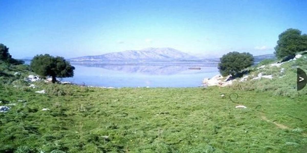 Dulichium Island