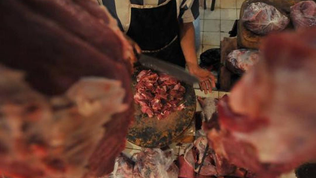 Harga daging sapi masih normal 