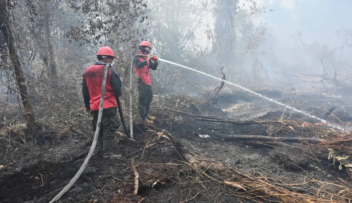 Petugas pemadam kebakaran berupaya melakukan pemadaman di tengah pekatnya asap kebakaran di Kampar, provinsi Riau pada 17 September 2019. Kebakaran hutan dan lahan (karhutla) yang masih terjadi membuat sejumlah wilayah di Provinsi Riau terpapar kabut asap. (ADEK BERRY / AFP)