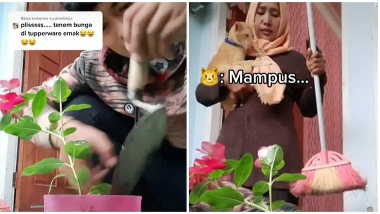 Kocak, Pemuda Ini Nekat Gunakan Tupperware Milik Ibunya Dijadikan Pot Bunga