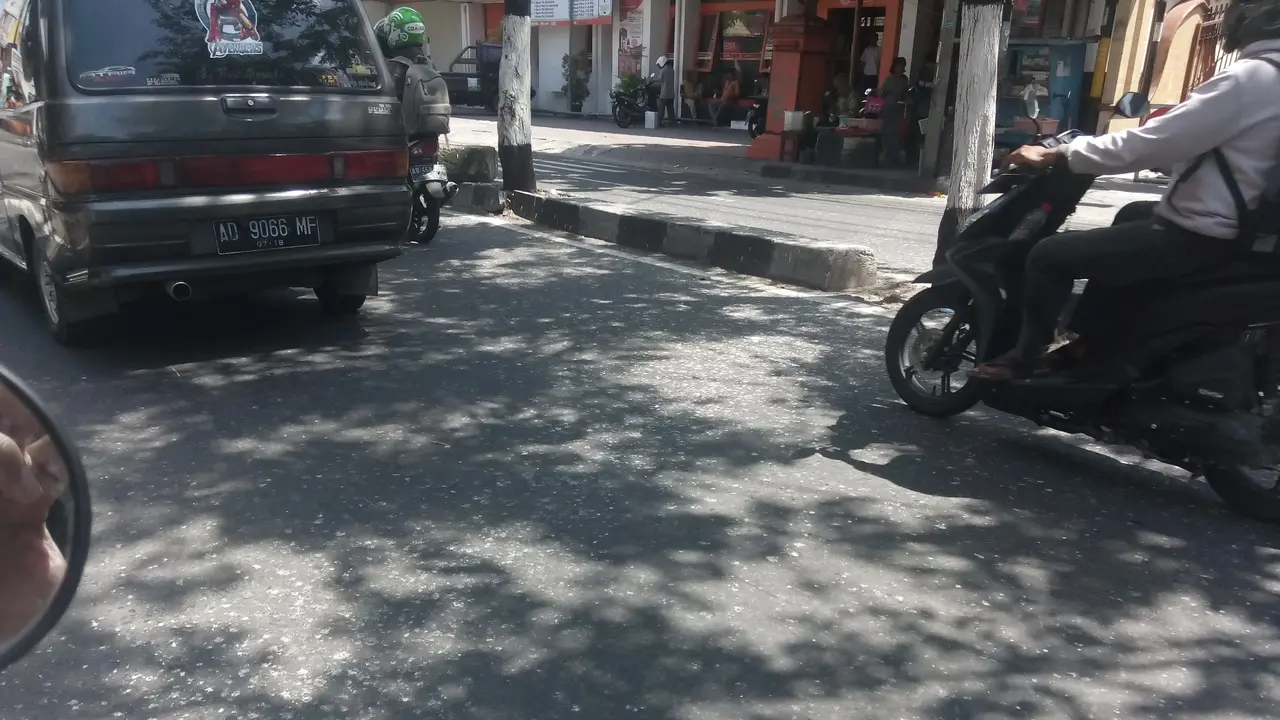 Burung Migrasi