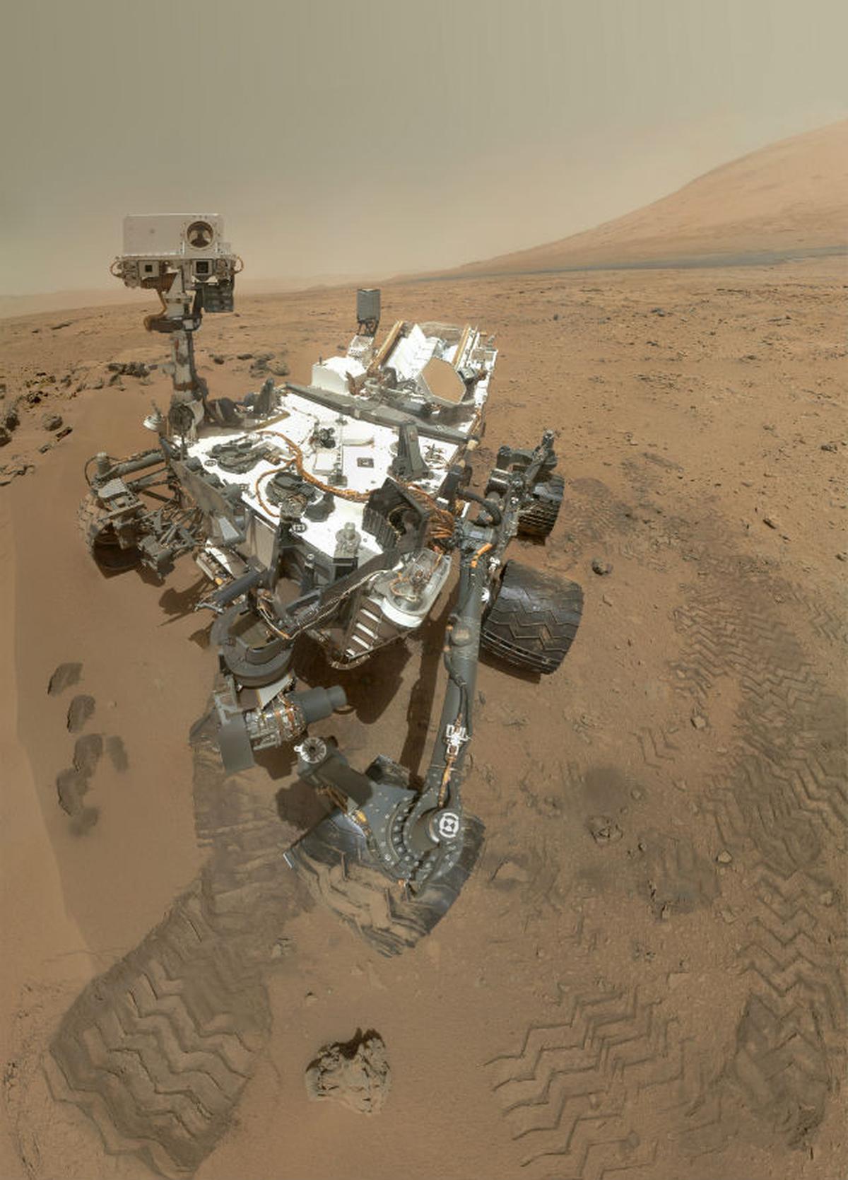 Curiosity narsis
