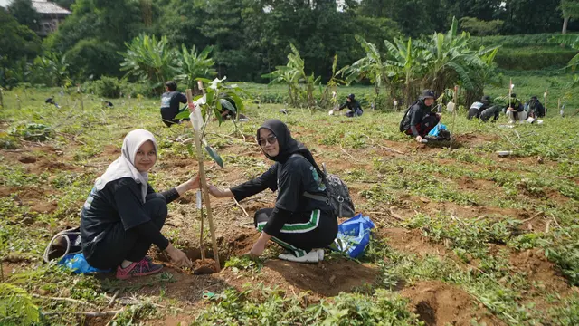 menanam pohon